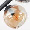 Koyoto Taklampa, kullampa Amber, Klart, Rökfärger, 10-ljuskällor
