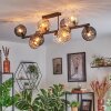 Koyoto Taklampa, kullampa Amber, Klart, Rökfärger, 10-ljuskällor