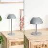 Laken Bordslampa utomhus, badrumslampa, Bordslampa LED Grått, 1-ljuskällor
