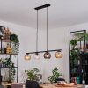 Koyoto Pendellampa, kullampa, Pendelbelysning Amber, Klart, Rökfärger, 4-ljuskällor