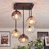 Koyoto Taklampa, kullampa Amber, Klart, Rökfärger, 5-ljuskällor