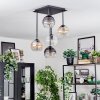 Koyoto Taklampa, kullampa Amber, Klart, Rökfärger, 5-ljuskällor