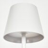 Salgadinho Bordslampa utomhus, Bordslampa LED Vit, 1-ljuskällor