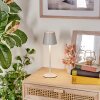 Salgadinho Bordslampa utomhus, Bordslampa LED Vit, 1-ljuskällor