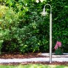 Elima Golvlampa, gångvägslampa Färg i rostfritt stål, 1-ljuskällor