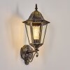 Hongkong vägglampa utomhus, Vägglampa Guld, Svart, 1-ljuskällor