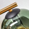 Ripoll Taklampa, kullampa Guld, Svart, 3-ljuskällor