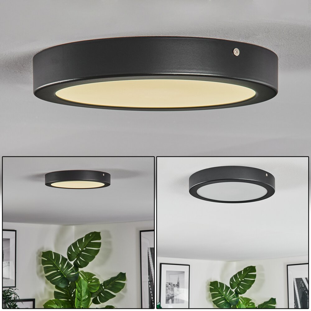 Isela Taklampa LED Svart, 1-ljuskällor main product photo