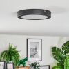 Isela Taklampa LED Svart, 1-ljuskällor