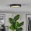 Isela Taklampa LED Svart, 1-ljuskällor