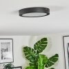 Isela Taklampa LED Svart, 1-ljuskällor