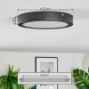 Isela Taklampa LED Svart, 1-ljuskällor