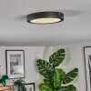 Isela Taklampa LED Svart, 1-ljuskällor