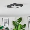 Isela Taklampa LED Svart, 1-ljuskällor