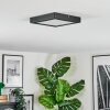 Isela Taklampa LED Svart, 1-ljuskällor