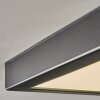 Isela Taklampa LED Svart, 1-ljuskällor