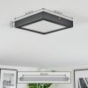 Isela Taklampa LED Svart, 1-ljuskällor