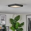 Isela Taklampa LED Svart, 1-ljuskällor