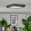 Isela Taklampa LED Svart, 1-ljuskällor