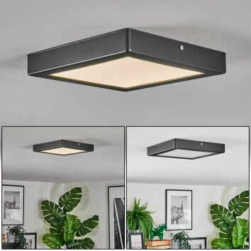 Isela Taklampa LED Svart, 1-ljuskällor