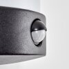 Heran vägglampa utomhus, Vägglampa LED Svart, 1-ljuskällor, Rörelsedetektor