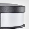 Heran vägglampa utomhus, Vägglampa LED Svart, 1-ljuskällor, Rörelsedetektor