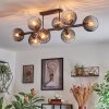 Koyoto Taklampa, kullampa Klart, Rökfärger, 8-ljuskällor