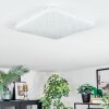 Loden Taklampa LED Vit, 1-ljuskällor