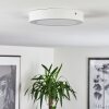 Finsrud Taklampa LED Vit, 1-ljuskällor