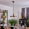 Lakewood Pendellampa Mörkbrun, Nickel matt, 1-ljuskällor