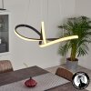 Ignal Pendellampa LED Svart, 1-ljuskällor