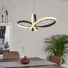 Ignal Pendellampa LED Svart, 1-ljuskällor