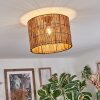 Cando Taklampa Naturfärger, 1-ljuskällor