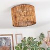 Cando Taklampa Naturfärger, 1-ljuskällor