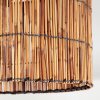 Cando Taklampa Naturfärger, 1-ljuskällor
