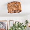 Cando Taklampa Naturfärger, 1-ljuskällor