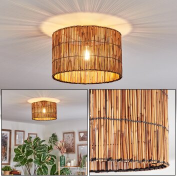 Cando Taklampa Naturfärger, 1-ljuskällor