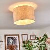Bassagoda Taklampa Beige, Vit, 1-ljuskällor