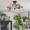 Ripoll Taklampa, kullampa Amber, Klart, Rökfärger, 7-ljuskällor