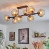Koyoto Taklampa, kullampa Amber, Klart, 8-ljuskällor