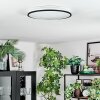 Onara Taklampa, Panel LED Svart, Vit, 1-ljuskällor