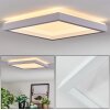 Xarel Taklampa, Panel LED Vit, 1-ljuskällor