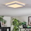Xarel Taklampa, Panel LED Vit, 1-ljuskällor