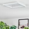 Xarel Taklampa, Panel LED Vit, 1-ljuskällor