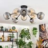 Ripoll Taklampa, kullampa Amber, Klart, Rökfärger, 10-ljuskällor