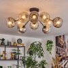 Ripoll Taklampa, kullampa Amber, Klart, Rökfärger, 10-ljuskällor
