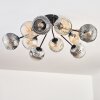 Ripoll Taklampa, kullampa Amber, Klart, Rökfärger, 10-ljuskällor