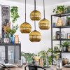 Koyoto Pendellampa, kullampa, Pendellampa Cluster Guld, 4-ljuskällor
