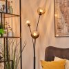 Koyoto kullampa, Golvlampa Amber, Klart, Rökfärger, 3-ljuskällor