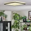 Simonstorp Taklampa, Panel LED Svart, Vit, 1-ljuskällor